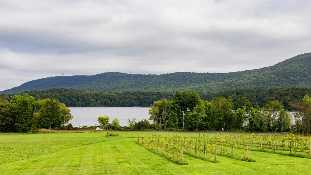 Serene vineyard with lush greenery and rolling hills overlooking a peaceful lake in The Berkshires, Massachusetts — a hidden US destination ideal for nature lovers and quiet getaways.