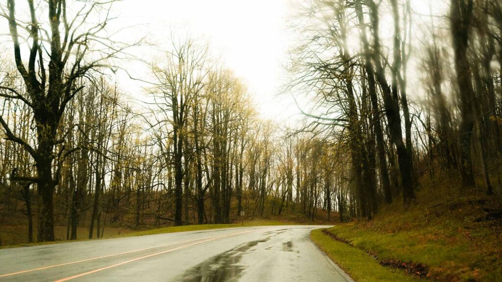 A quiet, winding road lined with leafless trees on the scenic Blue Ridge Parkway, ideal for peaceful and picturesque road trips in USA.