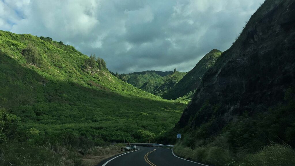 A winding road cuts through the dense green hills of Hana Highway in Maui, Hawaii, offering one of the most scenic and tropical road trips in USA.