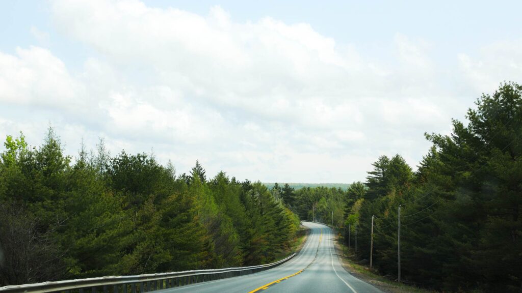 A peaceful stretch of highway winds through dense pine forests under a bright sky on a scenic New England road trip, one of the most tranquil road trips in USA.