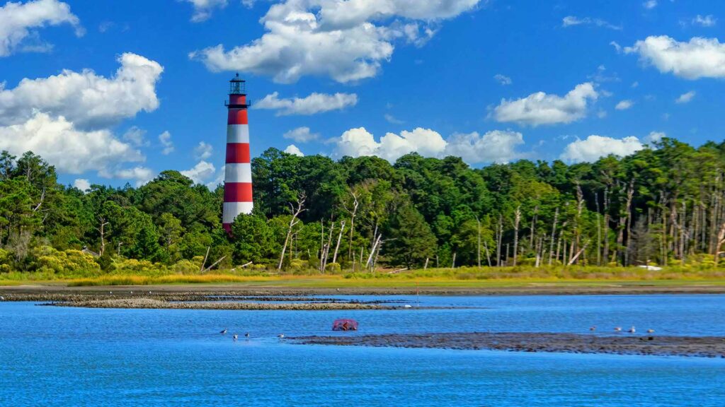 A red and white striped lighthouse rises above lush greenery on Assateague Island, with calm blue waters in the foreground—an ideal destination for nature lovers seeking affordable beach vacations on the East Coast.