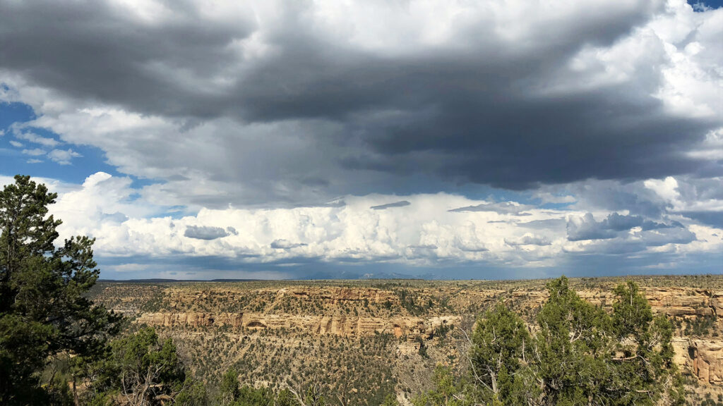 Green grass field under white clouds during daytime photo