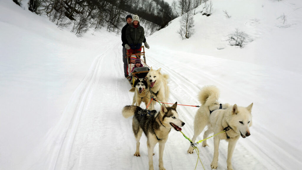 A family enjoys dog sledding through snowy terrain in Alaska during December.