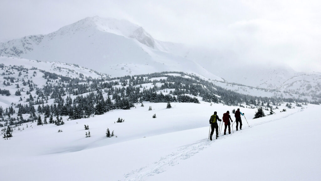 A group of hikers snowshoeing across the snowy mountains of Alaska in December.
