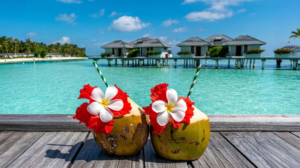 Maldives beach destination featuring tropical coconut drinks with red hibiscus flowers by the ocean