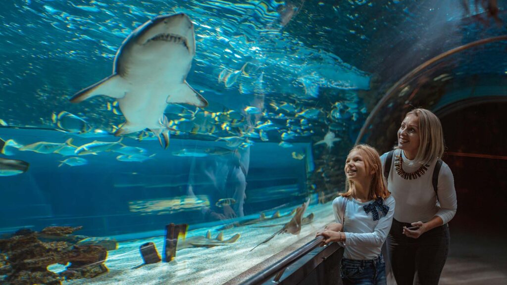 A mother and daughter looking amazed while observing a shark swim in an aquarium tunnel during their visit to a Texas attraction.