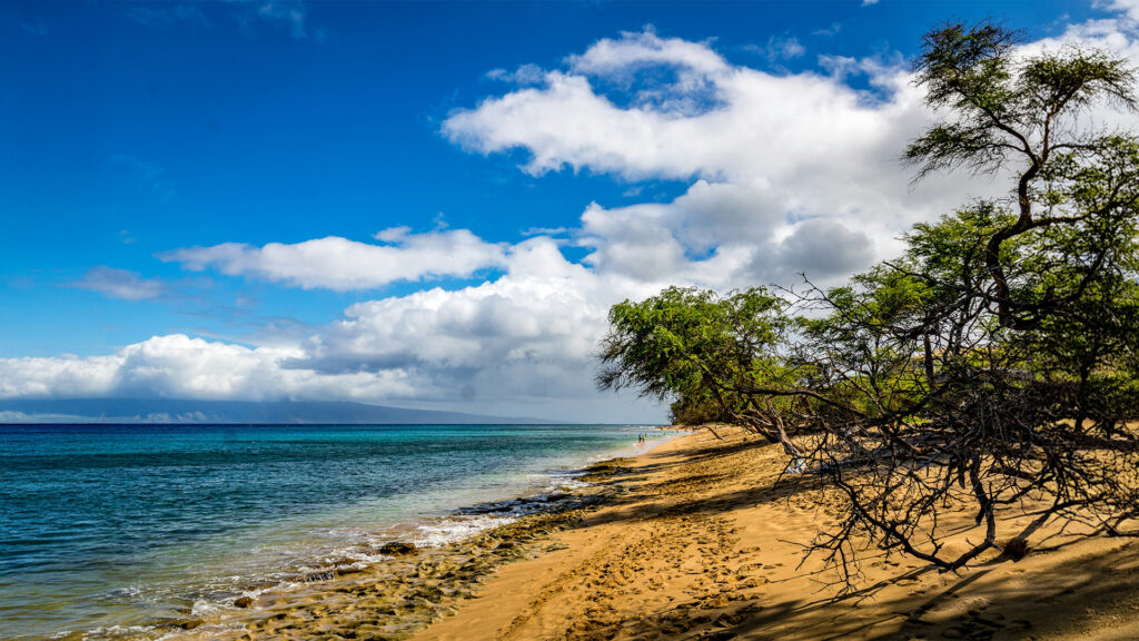 Maui beach destination featuring a pristine beach with crystal-clear waters and tropical trees