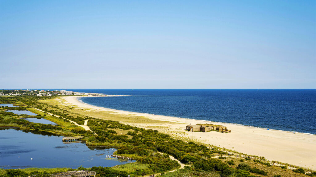 A scenic view of a beach with sand dunes, lush greenery, and a calm blue sea stretching into the horizon. A few buildings are visible in the distance.