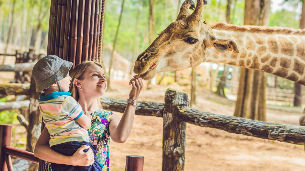 Mother and child feeding a giraffe at a zoo, enjoying a memorable San Diego family vacation experience