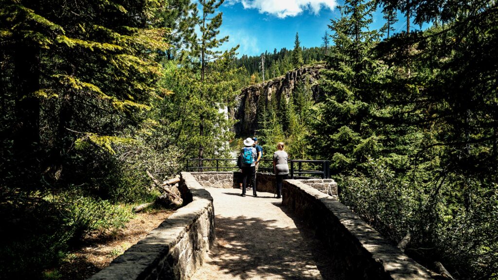 A beautiful hiking trail amidst towering trees with a waterfall in the background, a hidden gem for summer adventures.