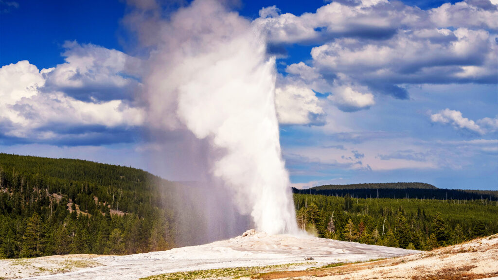The famous Old Faithful geyser erupting in Yellowstone National Park, releasing steam and water into the sky against a blue backdrop.