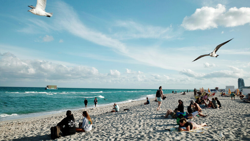 People relaxing on Miami Beach shoreline with turquoise water and flying seagulls in one of the best coastal cities in America