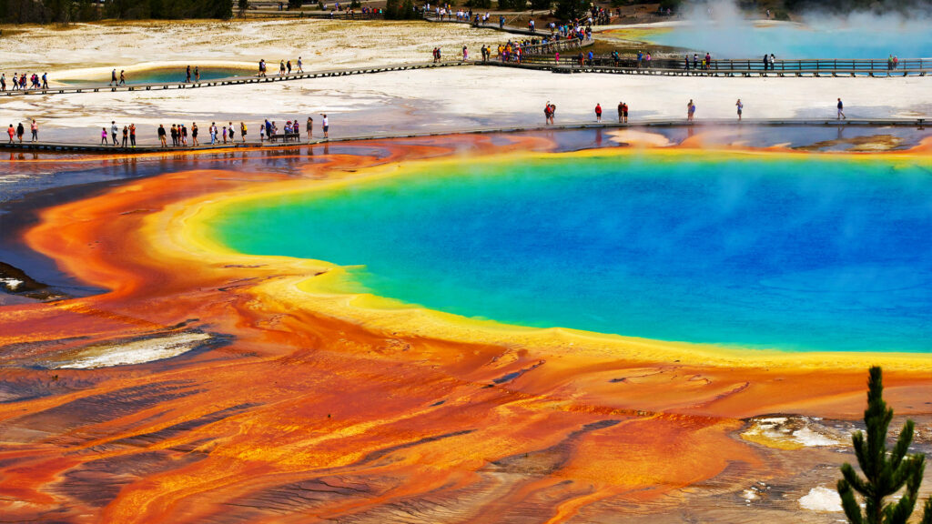 A vibrant view of the Grand Prismatic Spring in Yellowstone National Park, showcasing its brilliant blue and orange colors, with visitors walking along the boardwalk.