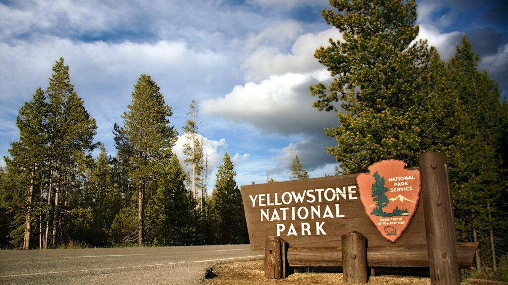 The entrance sign of Yellowstone National Park, surrounded by towering pine trees and a beautiful sky, marking the gateway to one of the most famous U.S. national parks.