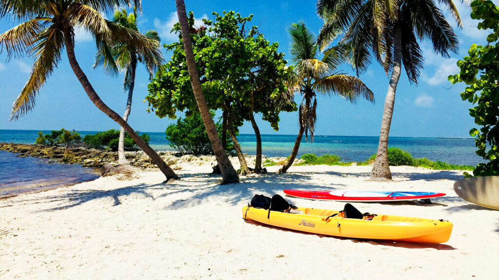 Peaceful Key West tropical beach with palm trees, kayak, and paddleboard along a scenic coastline in one of the best coastal cities in America