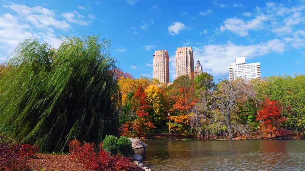things to do in New York City