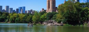 things to do in New York City
