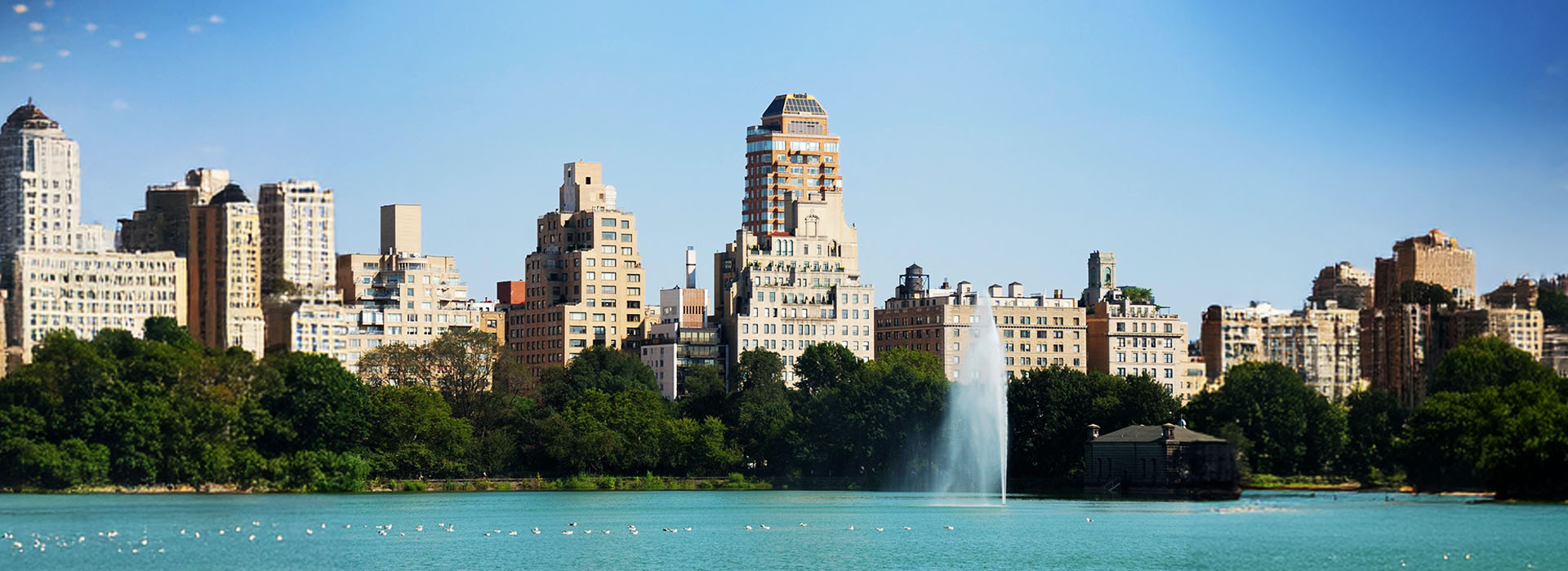 The New Yorker’s Guide to Never Overpaying for a Hotel in Manhattan  post thumbnail image